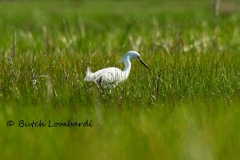 2010-05-26-004_edited-2