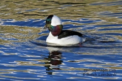 IMG_9371-edite11