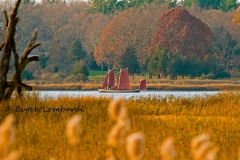 fall-IMG_0178_edited-1